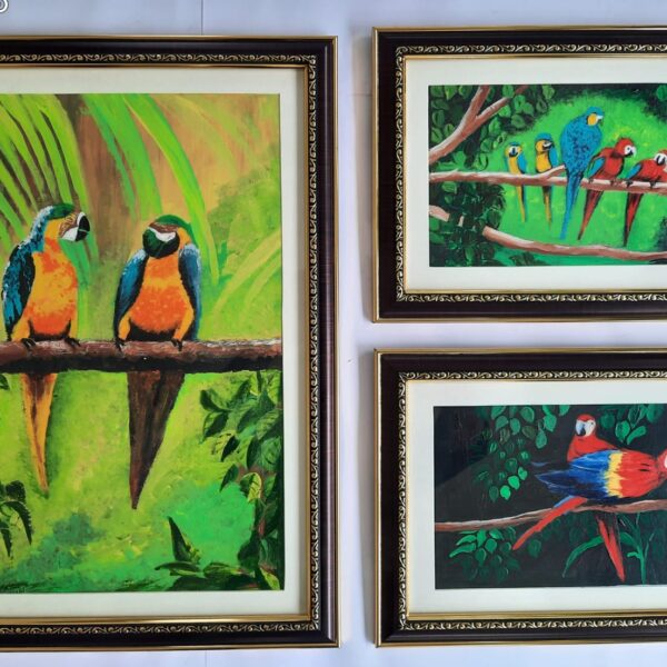 Parrots Paintings